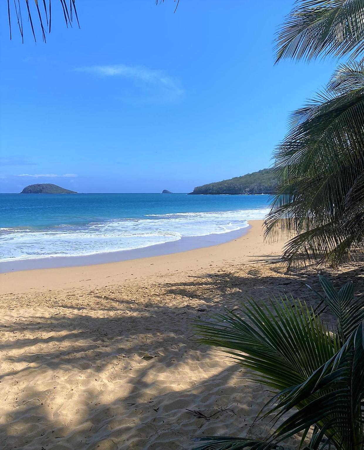 Charmant Bungalow Tout Confort Climatise - Terrasse Et Acces Plage ! Deshaies Exterior foto