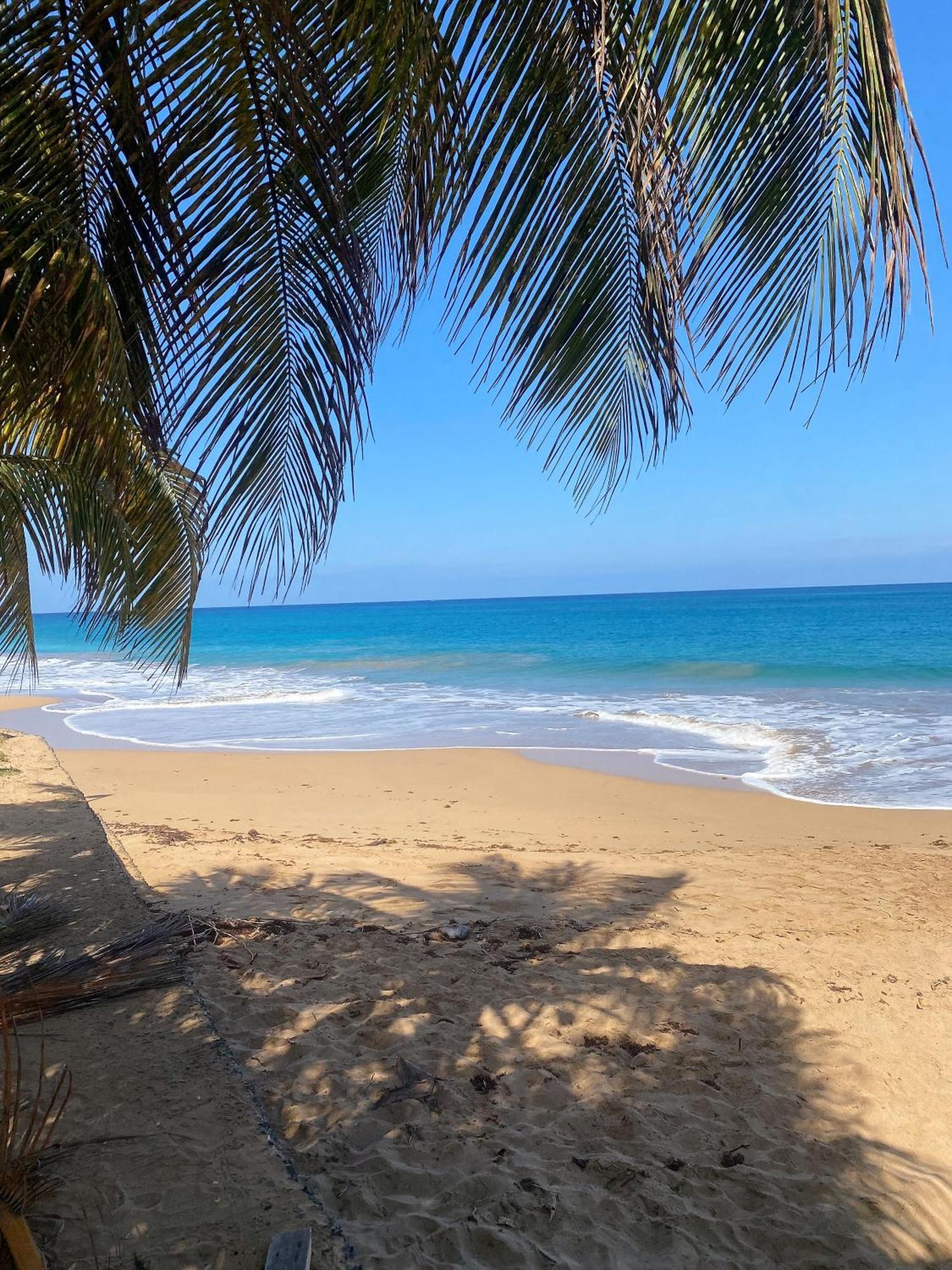 Charmant Bungalow Tout Confort Climatise - Terrasse Et Acces Plage ! Deshaies Exterior foto